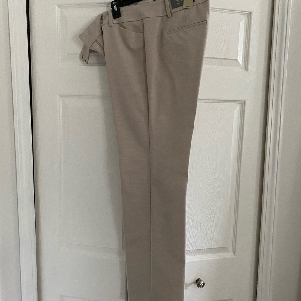 Ann Taylor Straight Leg Pant